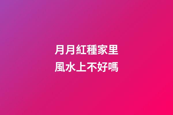 月月紅種家里風水上不好嗎