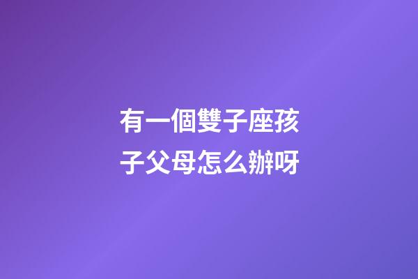 有一個雙子座孩子父母怎么辦呀-第1張-星座運勢-玄機派