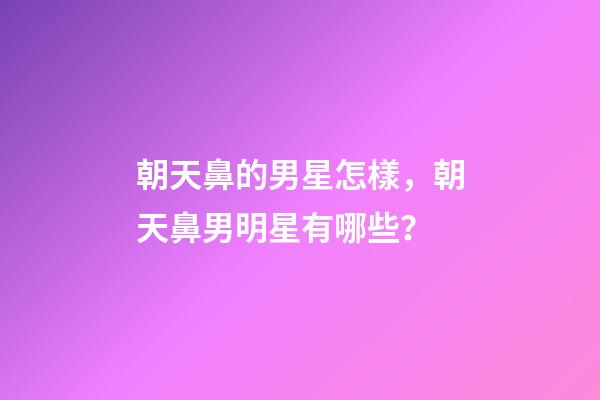 朝天鼻的男星怎樣，朝天鼻男明星有哪些？