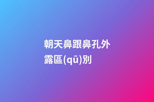 朝天鼻跟鼻孔外露區(qū)別