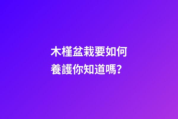 木槿盆栽要如何養護你知道嗎？