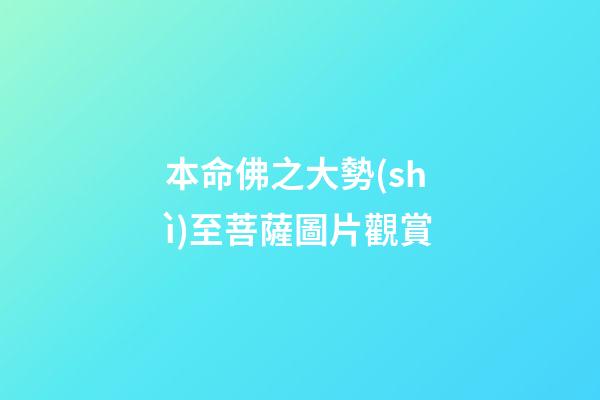 本命佛之大勢(shì)至菩薩圖片觀賞
