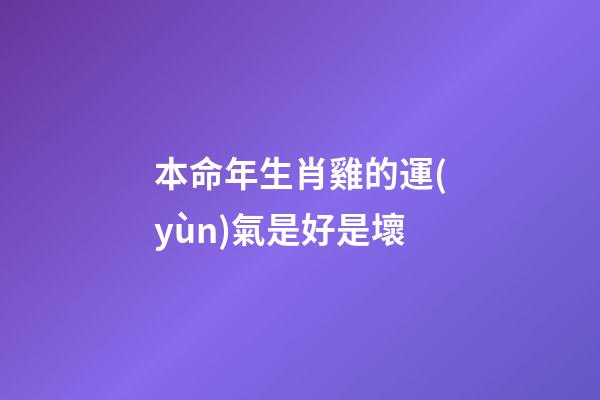 本命年生肖雞的運(yùn)氣是好是壞