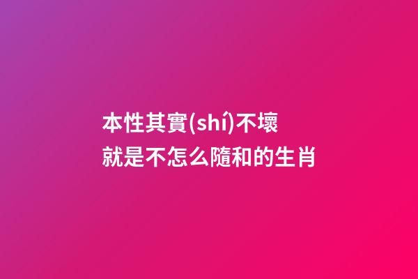 本性其實(shí)不壞就是不怎么隨和的生肖