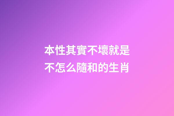 本性其實不壞就是不怎么隨和的生肖