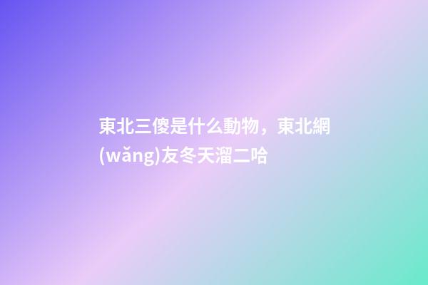 東北三傻是什么動物，東北網(wǎng)友冬天溜二哈-第1張-觀點(diǎn)-玄機(jī)派