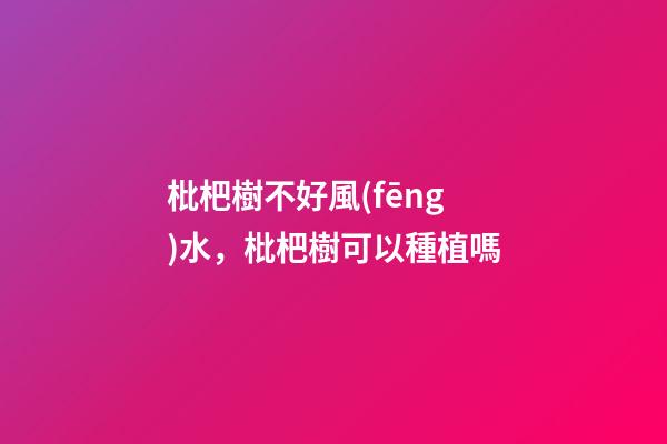 枇杷樹不好風(fēng)水，枇杷樹可以種植嗎