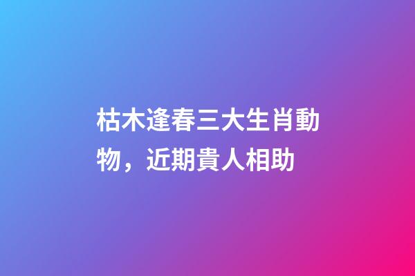枯木逢春三大生肖動物，近期貴人相助