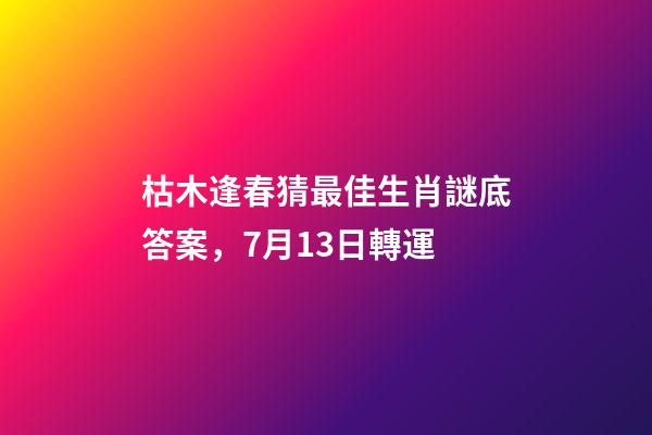 枯木逢春猜最佳生肖謎底答案，7月13日轉運-第1張-觀點-玄機派