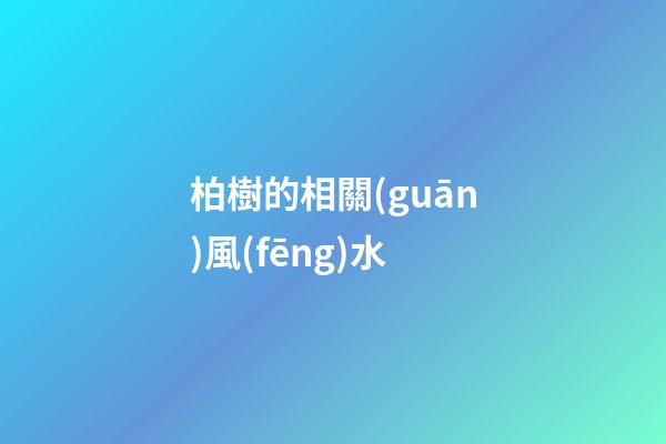 柏樹的相關(guān)風(fēng)水