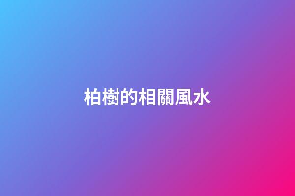 柏樹的相關風水
