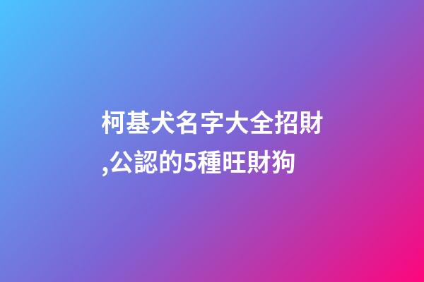 柯基犬名字大全招財,公認的5種旺財狗-第1張-觀點-玄機派