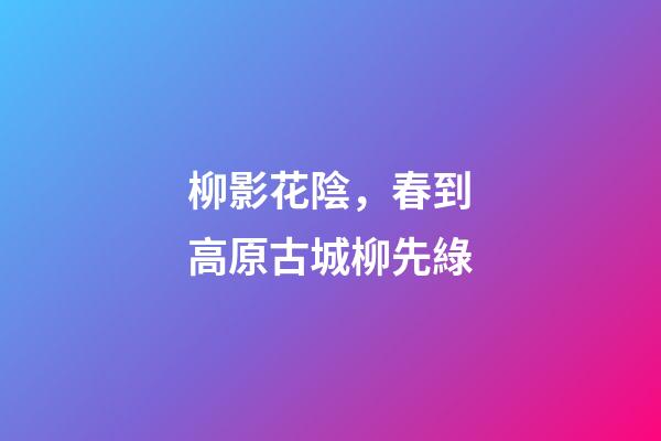 柳影花陰，春到高原古城柳先綠
