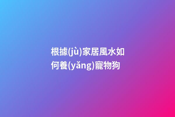 根據(jù)家居風水如何養(yǎng)寵物狗