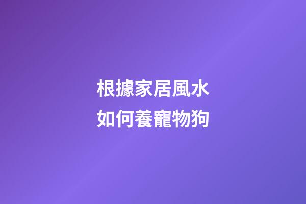 根據家居風水如何養寵物狗