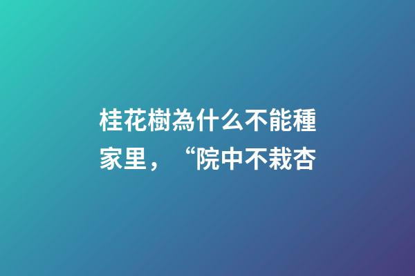 桂花樹為什么不能種家里，“院中不栽杏-第1張-觀點-玄機派