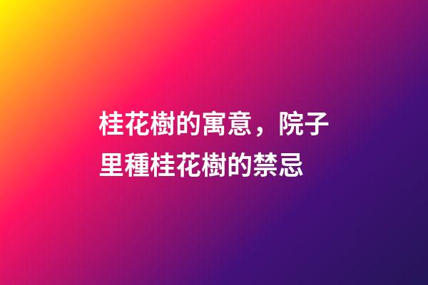 桂花樹的寓意，院子里種桂花樹的禁忌
