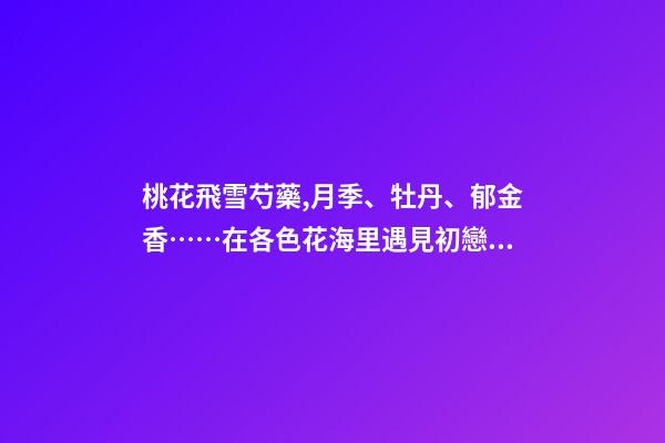 桃花飛雪芍藥,月季、牡丹、郁金香……在各色花海里遇見初戀般的浪漫-第1張-觀點-玄機派