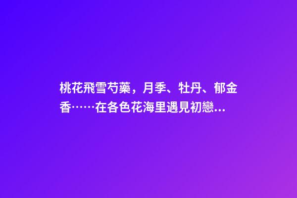 桃花飛雪芍藥，月季、牡丹、郁金香……在各色花海里遇見初戀般的浪漫-第1張-觀點-玄機派
