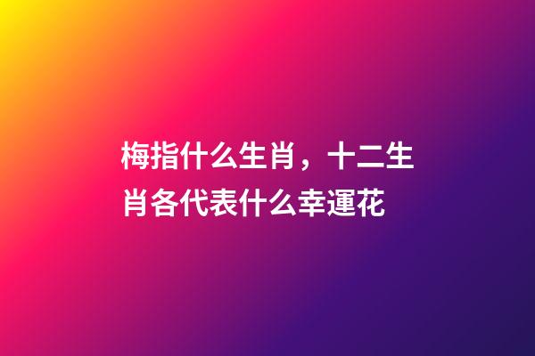 梅指什么生肖，十二生肖各代表什么幸運花-第1張-觀點-玄機派
