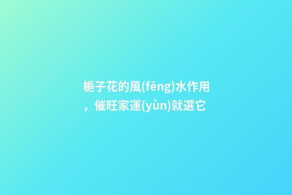 梔子花的風(fēng)水作用，催旺家運(yùn)就選它