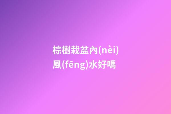 棕樹栽盆內(nèi)風(fēng)水好嗎