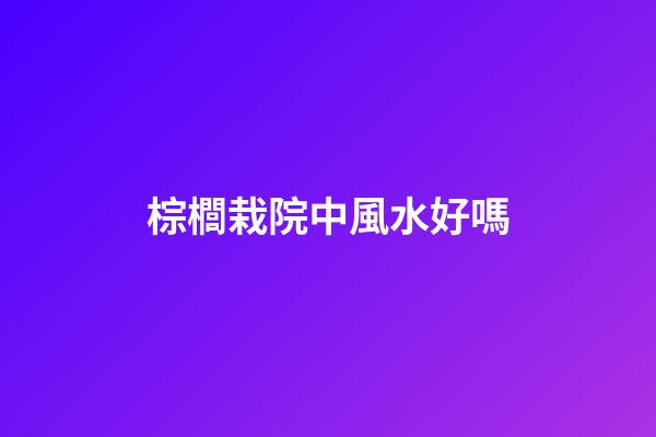 棕櫚栽院中風水好嗎