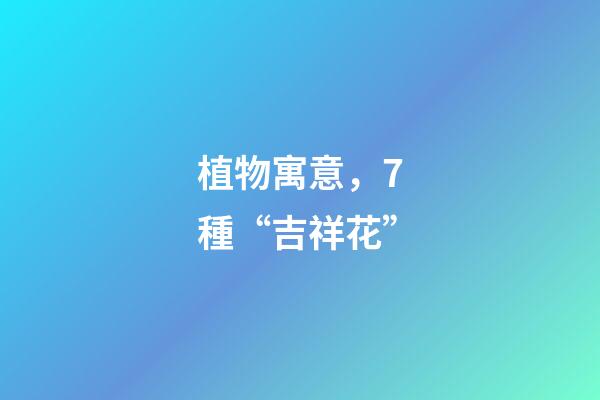 植物寓意，7種“吉祥花”-第1張-觀點-玄機派