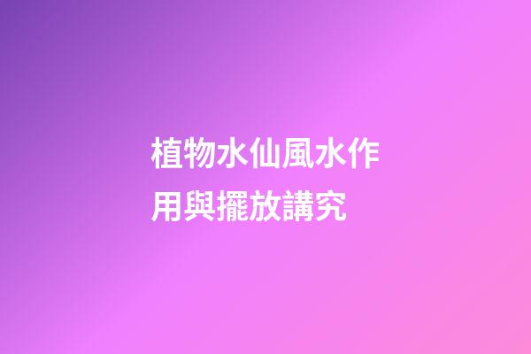 植物水仙風水作用與擺放講究