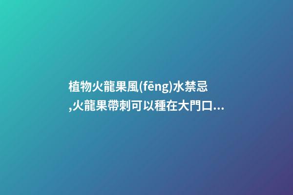 植物火龍果風(fēng)水禁忌,火龍果帶刺可以種在大門口嗎？