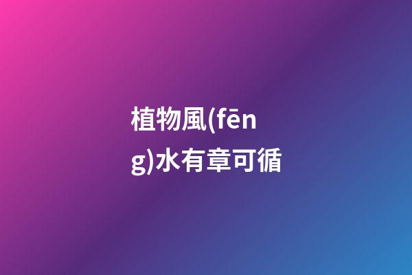 植物風(fēng)水有章可循