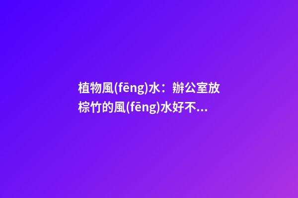 植物風(fēng)水：辦公室放棕竹的風(fēng)水好不好