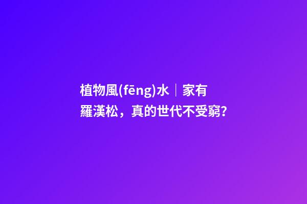 植物風(fēng)水｜家有羅漢松，真的世代不受窮？