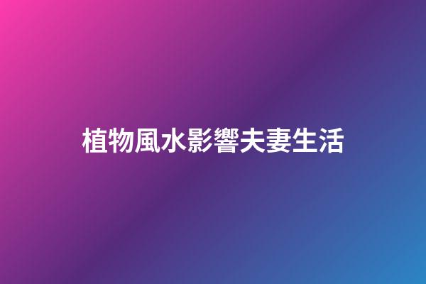 植物風水影響夫妻生活