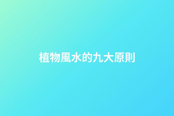 植物風水的九大原則