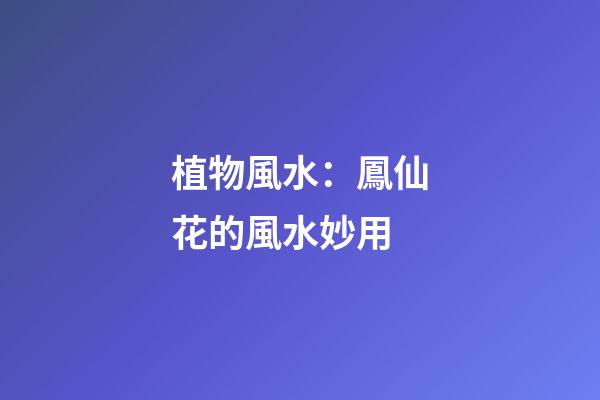 植物風水：鳳仙花的風水妙用
