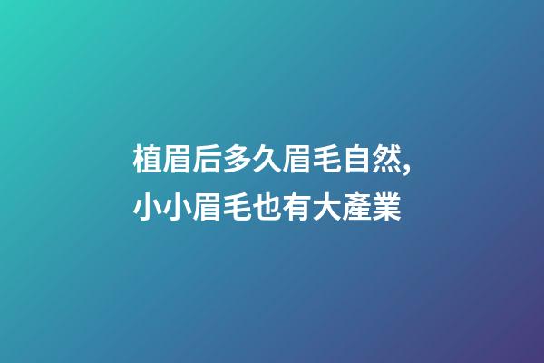 植眉后多久眉毛自然,小小眉毛也有大產業-第1張-觀點-玄機派