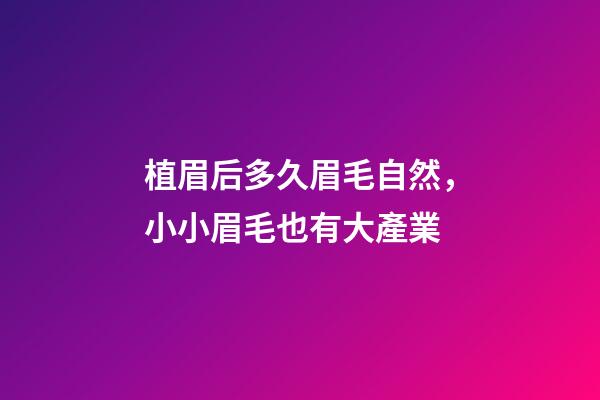 植眉后多久眉毛自然，小小眉毛也有大產業-第1張-觀點-玄機派