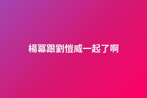 楊冪跟劉愷威一起了啊