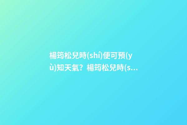 楊筠松兒時(shí)便可預(yù)知天氣？楊筠松兒時(shí)風(fēng)水故事