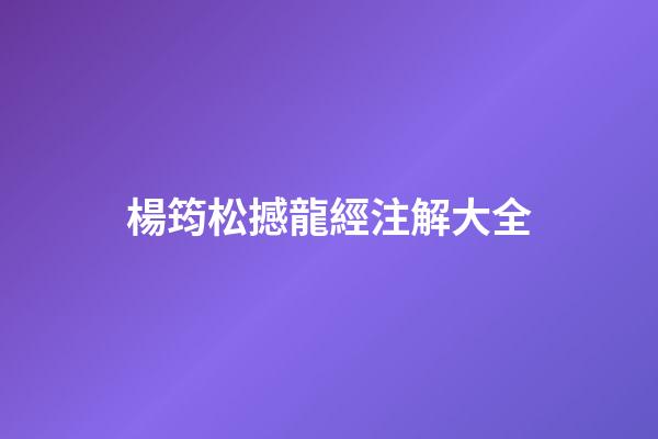 楊筠松撼龍經注解大全