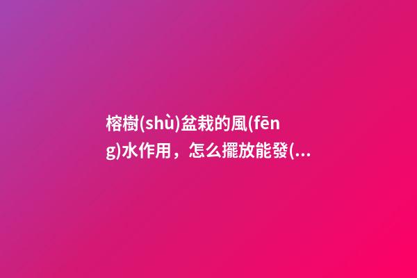 榕樹(shù)盆栽的風(fēng)水作用，怎么擺放能發(fā)揮最大效果？