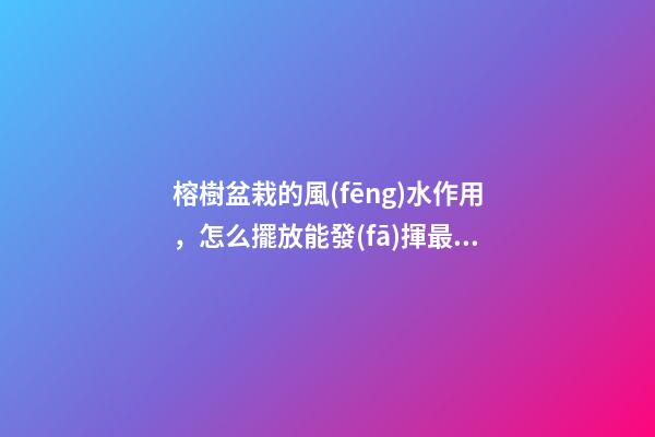 榕樹盆栽的風(fēng)水作用，怎么擺放能發(fā)揮最大效果？