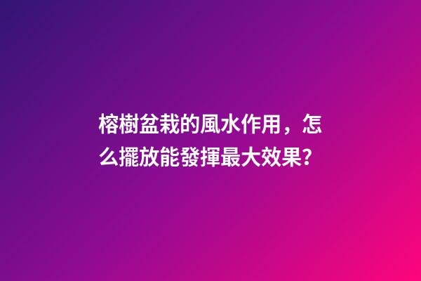 榕樹盆栽的風水作用，怎么擺放能發揮最大效果？