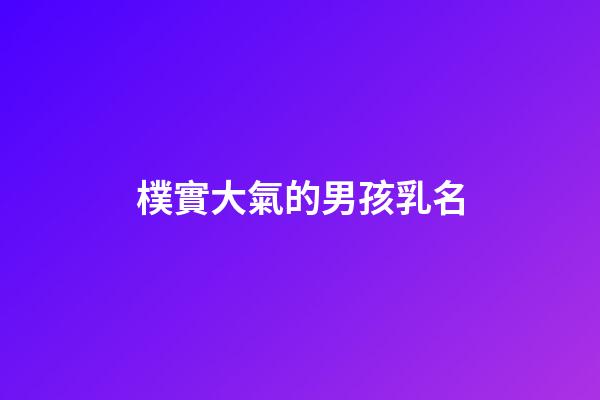 樸實大氣的男孩乳名