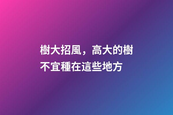 樹大招風，高大的樹不宜種在這些地方