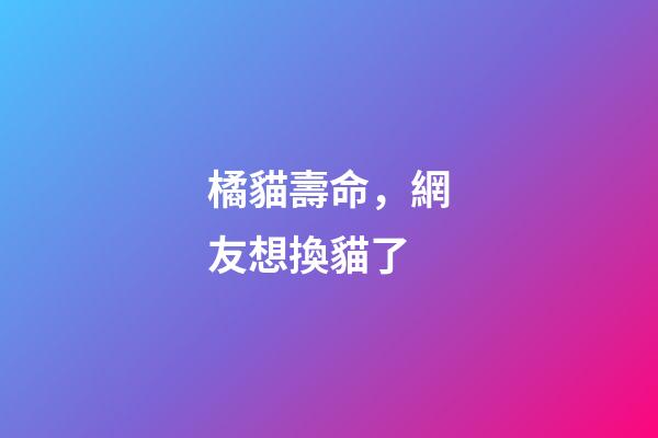 橘貓壽命，網友想換貓了-第1張-觀點-玄機派
