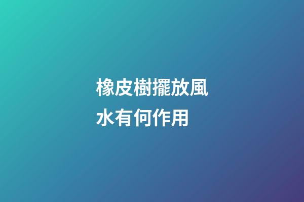橡皮樹擺放風水有何作用