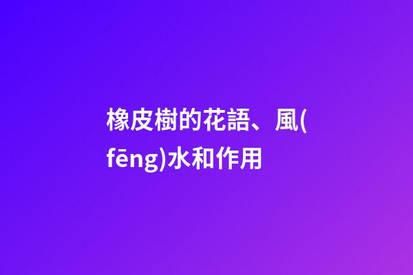 橡皮樹的花語、風(fēng)水和作用