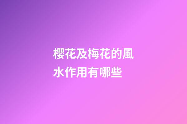 櫻花及梅花的風水作用有哪些?